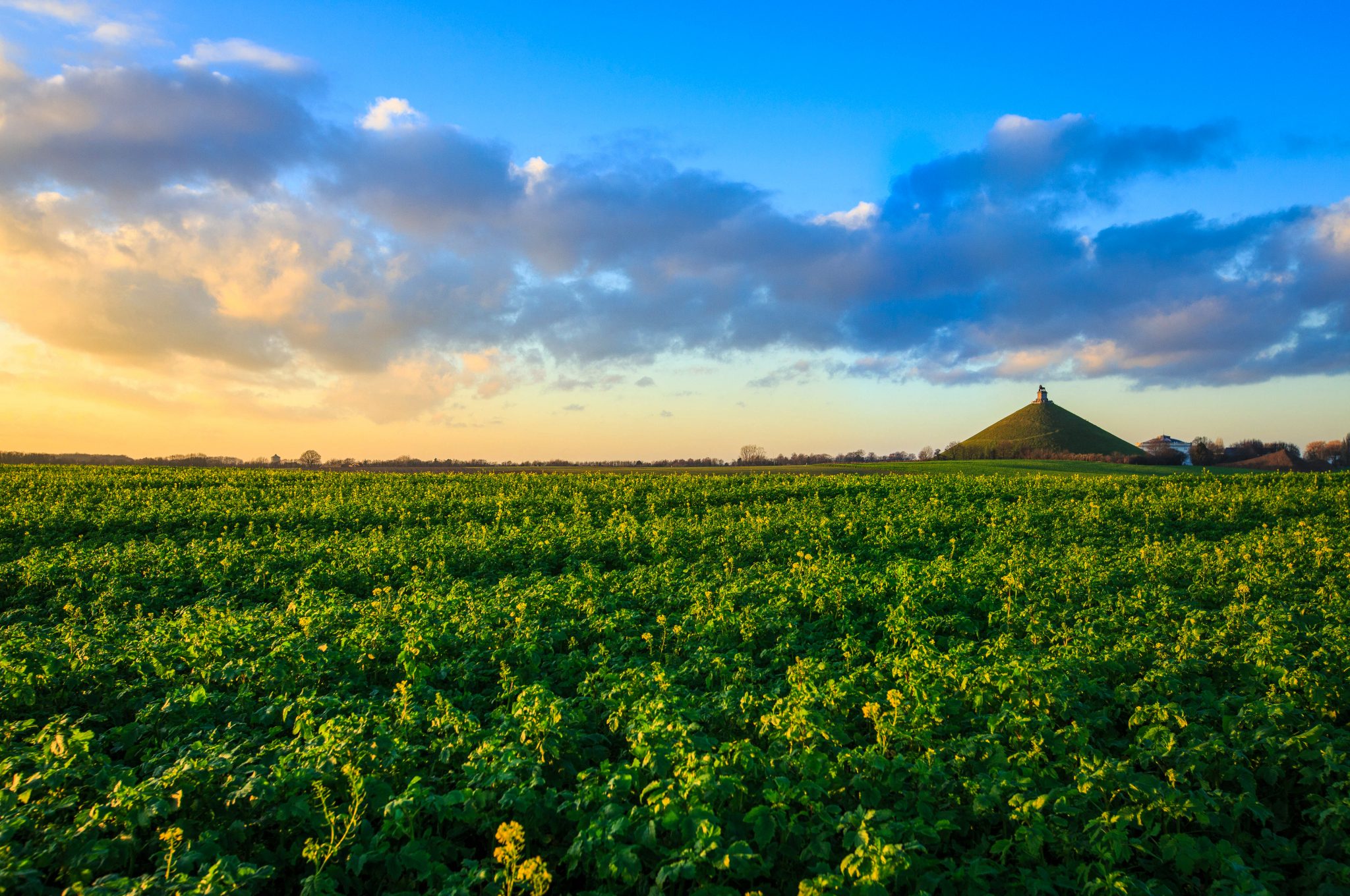 Butte du Lion (web)