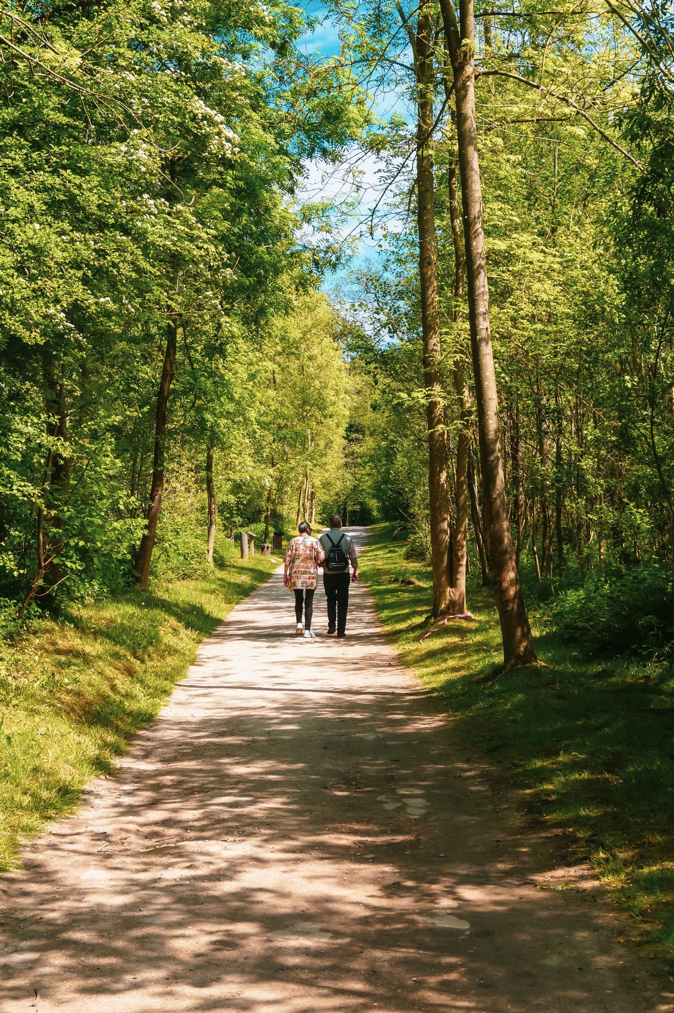 Bois des Rêves
