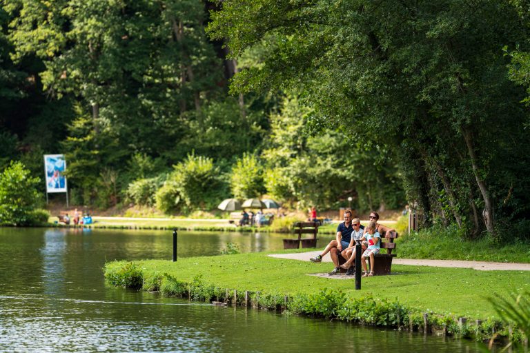 Détente au Bois des Rêves