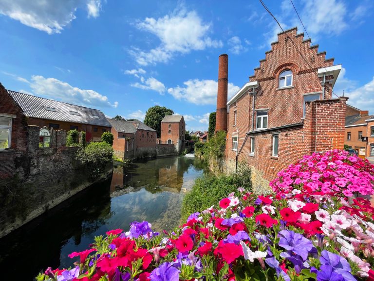 Fleurs devant les Moulins d'Arenberg