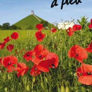 A pied – Le Brabant wallon historique