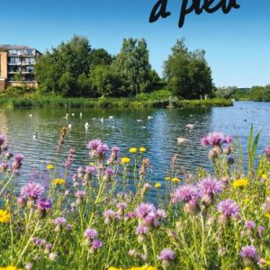 A pied – Le Brabant wallon nature