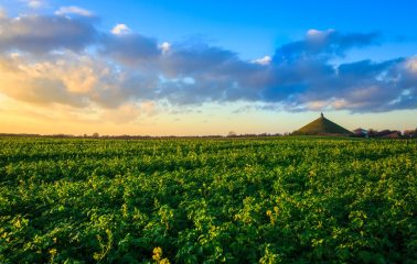 Butte du Lion (web)