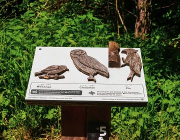 Bois des Rêves © FTBW (14)
