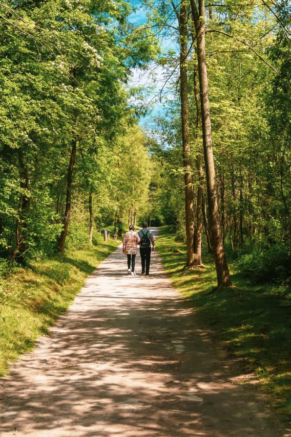 Bois des Rêves