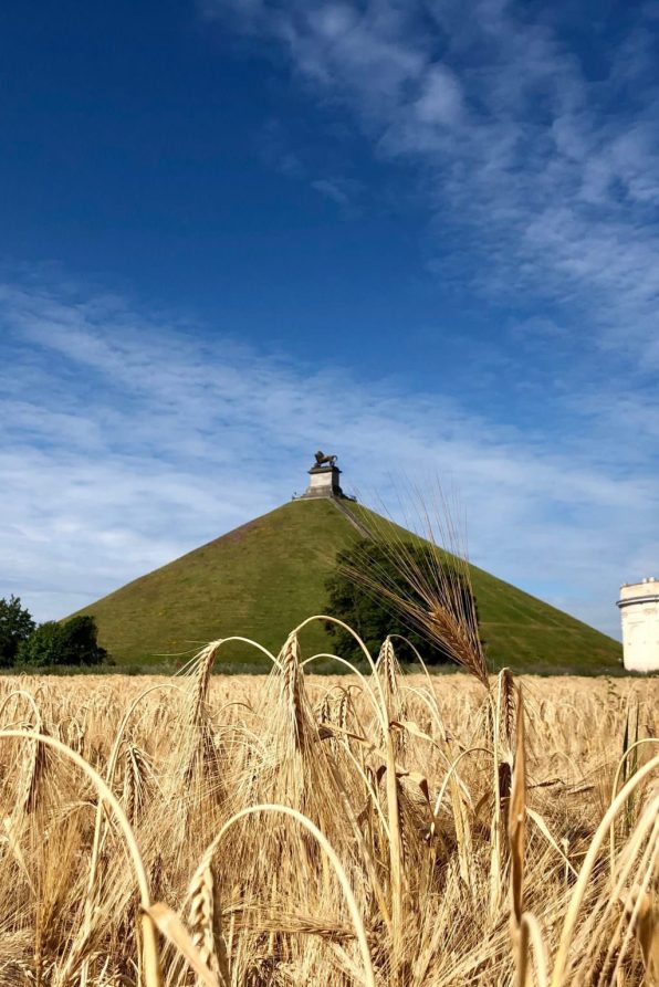 Butte du lion©FTBW