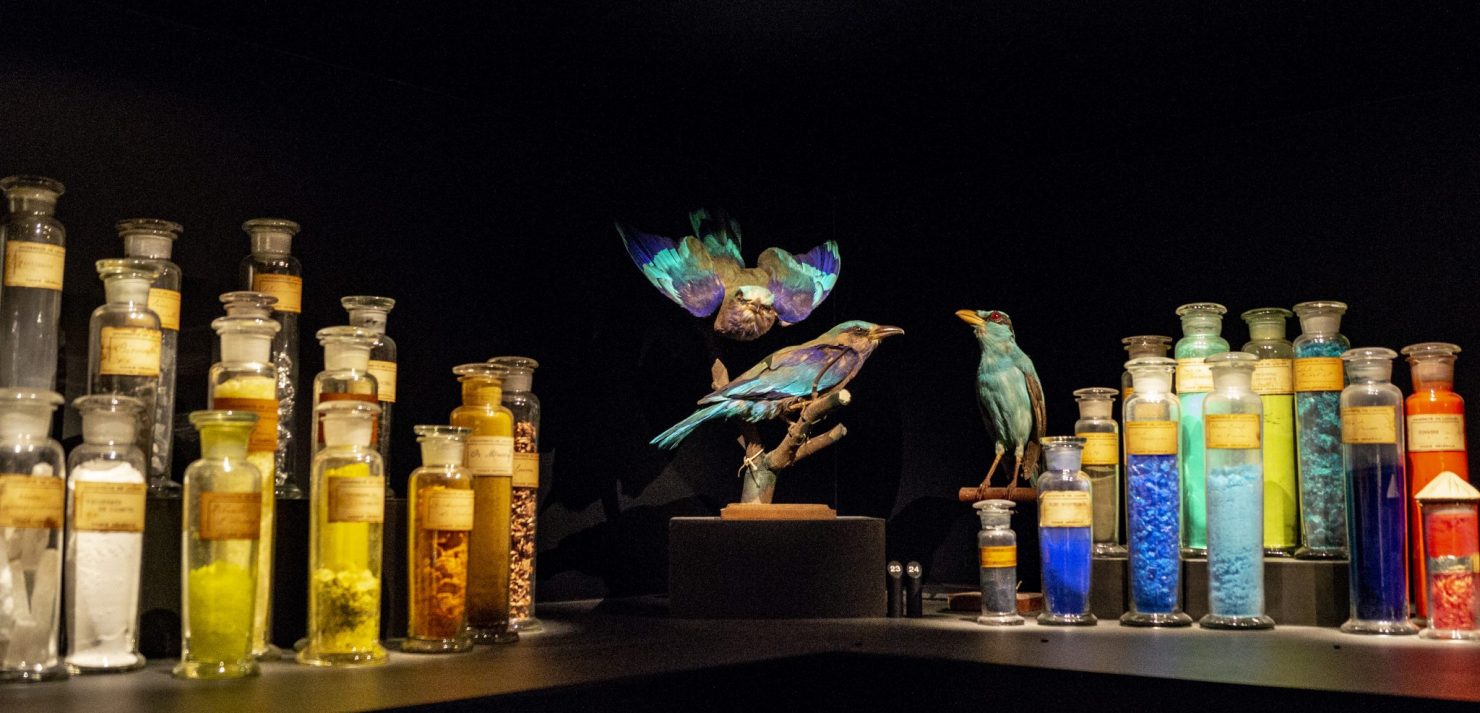 Musée L@FTBW (26)