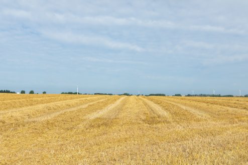 paysage wallonie-1
