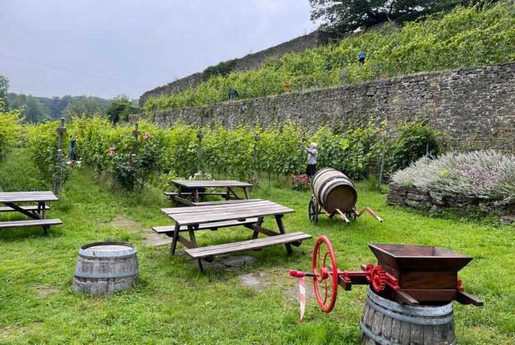 Villers la Vigne